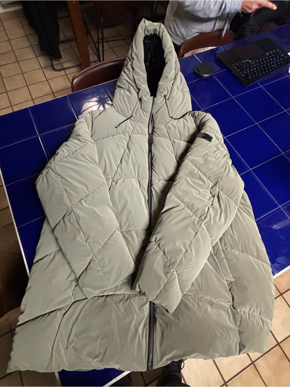 Dkny Women’s Hooded Puffer Jacket in Sage Green